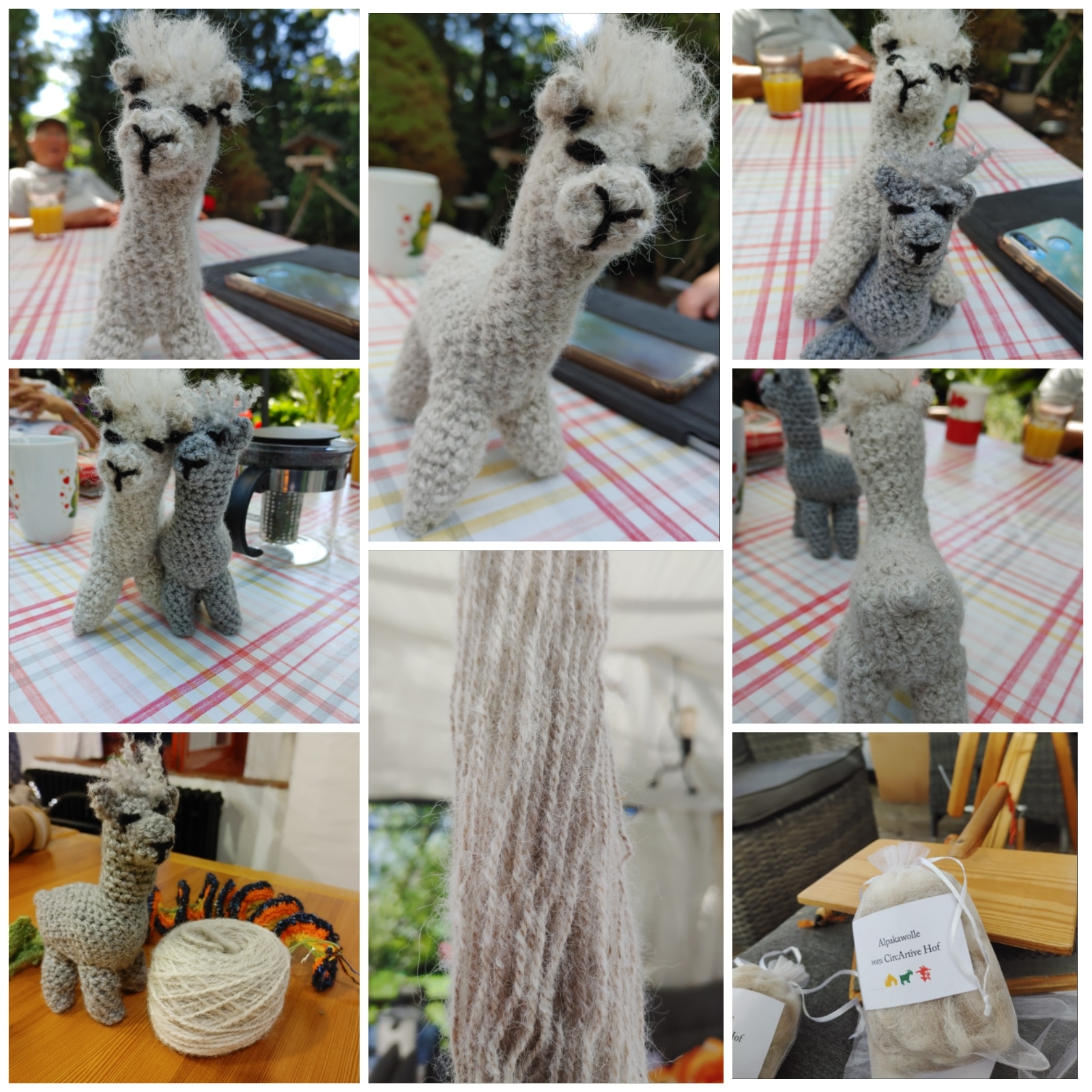 img_20220616_170200_992.jpg img_20220616_170200_992.jpg